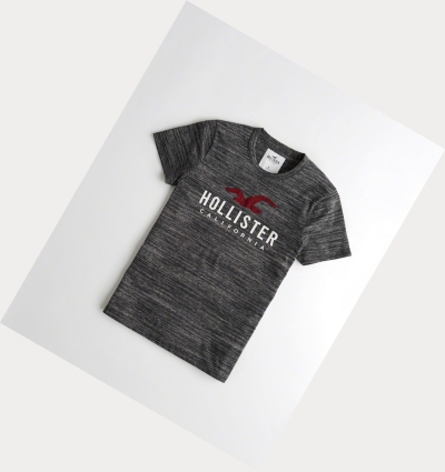 Black Men's Hollister Muscle Fit Short Sleeve | UK-837YCEB