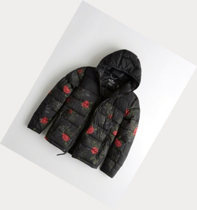 Black Men's Hollister Recycled Fill Hooded Puffers | UK-264LHQG