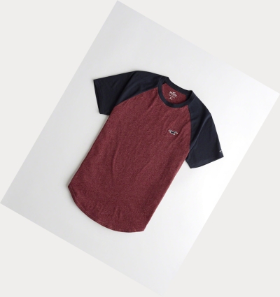 Burgundy Men's Hollister Colorblock Curved Hem Short Sleeve | UK-405EJTV