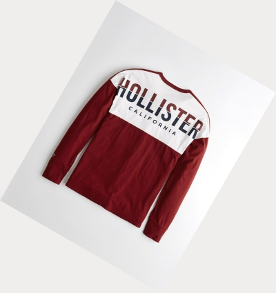 Burgundy Men's Hollister Colorblock Logo Long Sleeve | UK-942VYWK