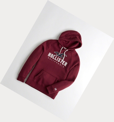 Burgundy Men's Hollister Logo Graphic Hoodie | UK-301DITM