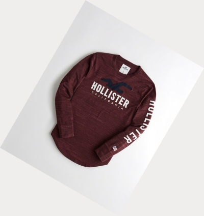 Burgundy Men's Hollister Logo Long Sleeve | UK-439LPTS