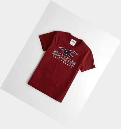 Burgundy Men's Hollister Logo Short Sleeve | UK-179SMGD