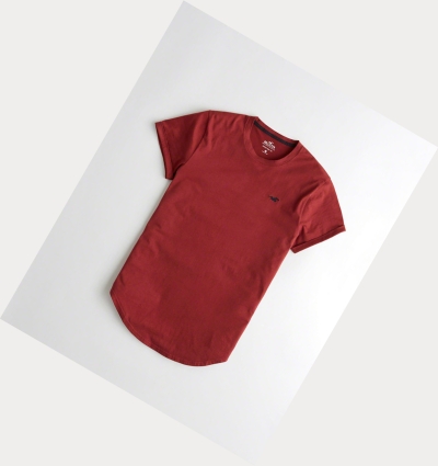 Burgundy Men's Hollister Must-Have Curved Hem Short Sleeve | UK-120PDAM