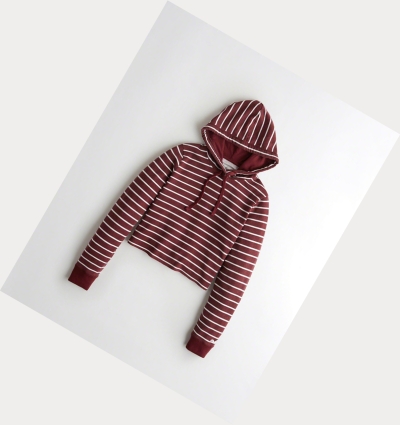 Burgundy Stripes Women's Hollister Crop Hoodie | UK-342HPVZ