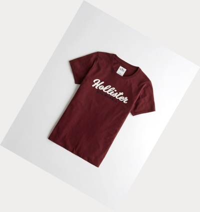 Burgundy Women's Hollister Logo Short Sleeve | UK-514IYXT