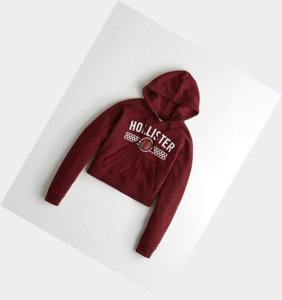 Burgundy Women's Hollister Rose Graphic Crop Hoodie | UK-816URQE