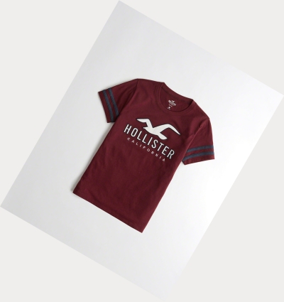 Burgundy Women's Hollister Sleeve-Stripe Logo Short Sleeve | UK-164PJYZ