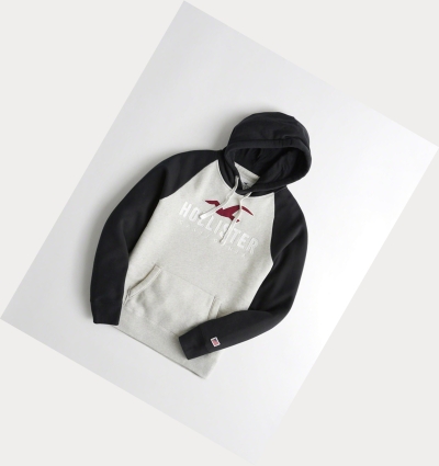 Grey Black Men's Hollister Logo Graphic Hoodie | UK-064BOHK