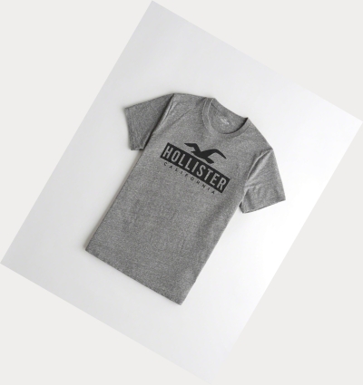 Grey Men's Hollister Must-Have Crewneck Short Sleeve | UK-568JYUE