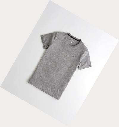 Grey Men's Hollister Must-Have Muscle Fit Short Sleeve | UK-813MQNY