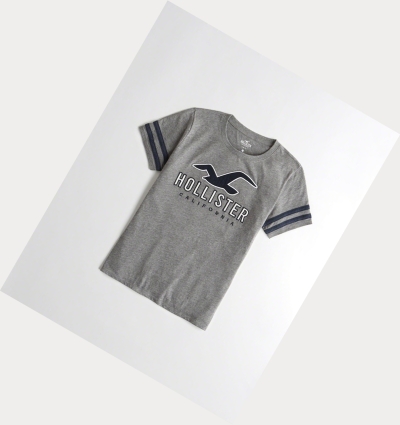 Grey Women's Hollister Sleeve-Stripe Logo Short Sleeve | UK-138OFSY