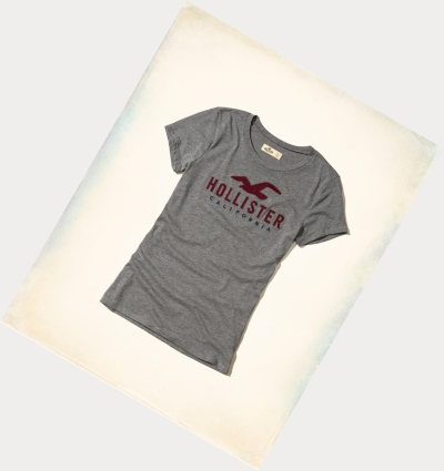 Grey Women's Hollister Slim Crew Short Sleeve | UK-291XUDO