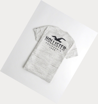 Light Grey Men's Hollister Split Logo Short Sleeve | UK-437MQBF