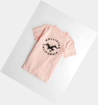 Light Pink Women's Hollister Floral Embroidered Short Sleeve | UK-107MFKY