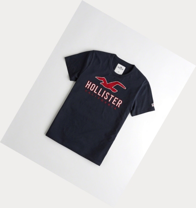 Navy Men's Hollister Logo Short Sleeve | UK-137XIMY