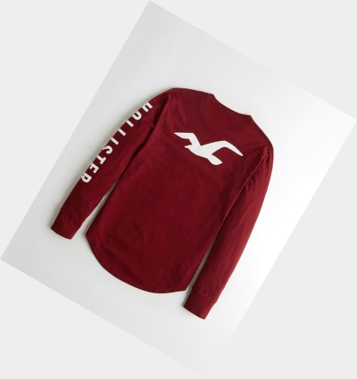 Red Men's Hollister Logo Long Sleeve | UK-409PKOR