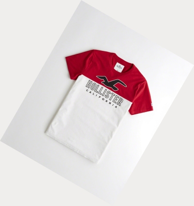 Red White Men's Hollister Colorblock Logo Short Sleeve | UK-319YMCX