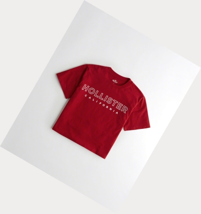 Red Women's Hollister Crop Boyfriend Short Sleeve | UK-032UREN