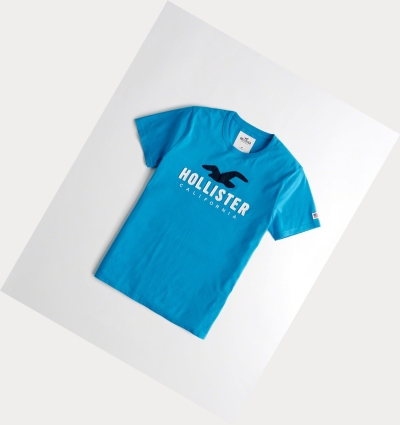 Turquoise Men's Hollister Logo Short Sleeve | UK-472EPTZ