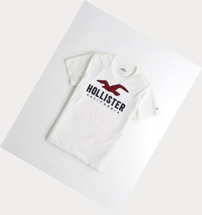 White Men's Hollister Logo Short Sleeve | UK-653LZOY