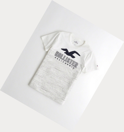 White Men's Hollister Logo Short Sleeve | UK-843IDCL