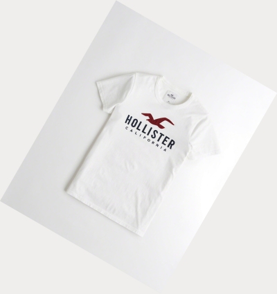 White Men's Hollister Muscle Fit Short Sleeve | UK-275UDEB