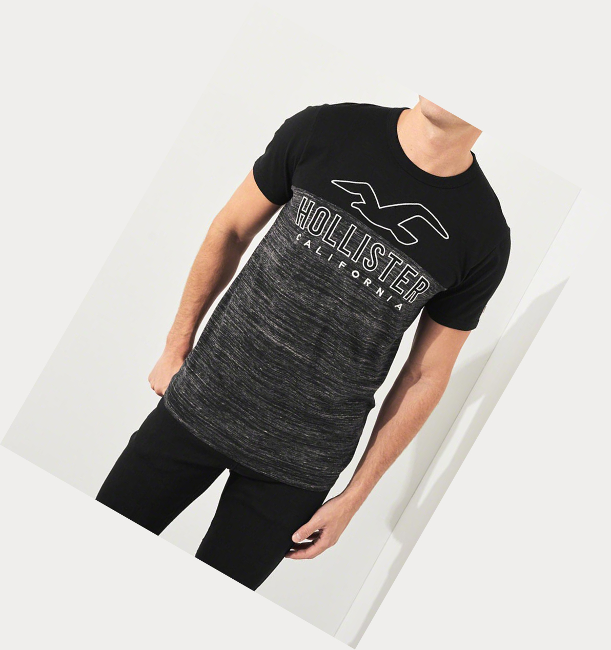 Black Men's Hollister Logo Short Sleeve | UK-346WSYU