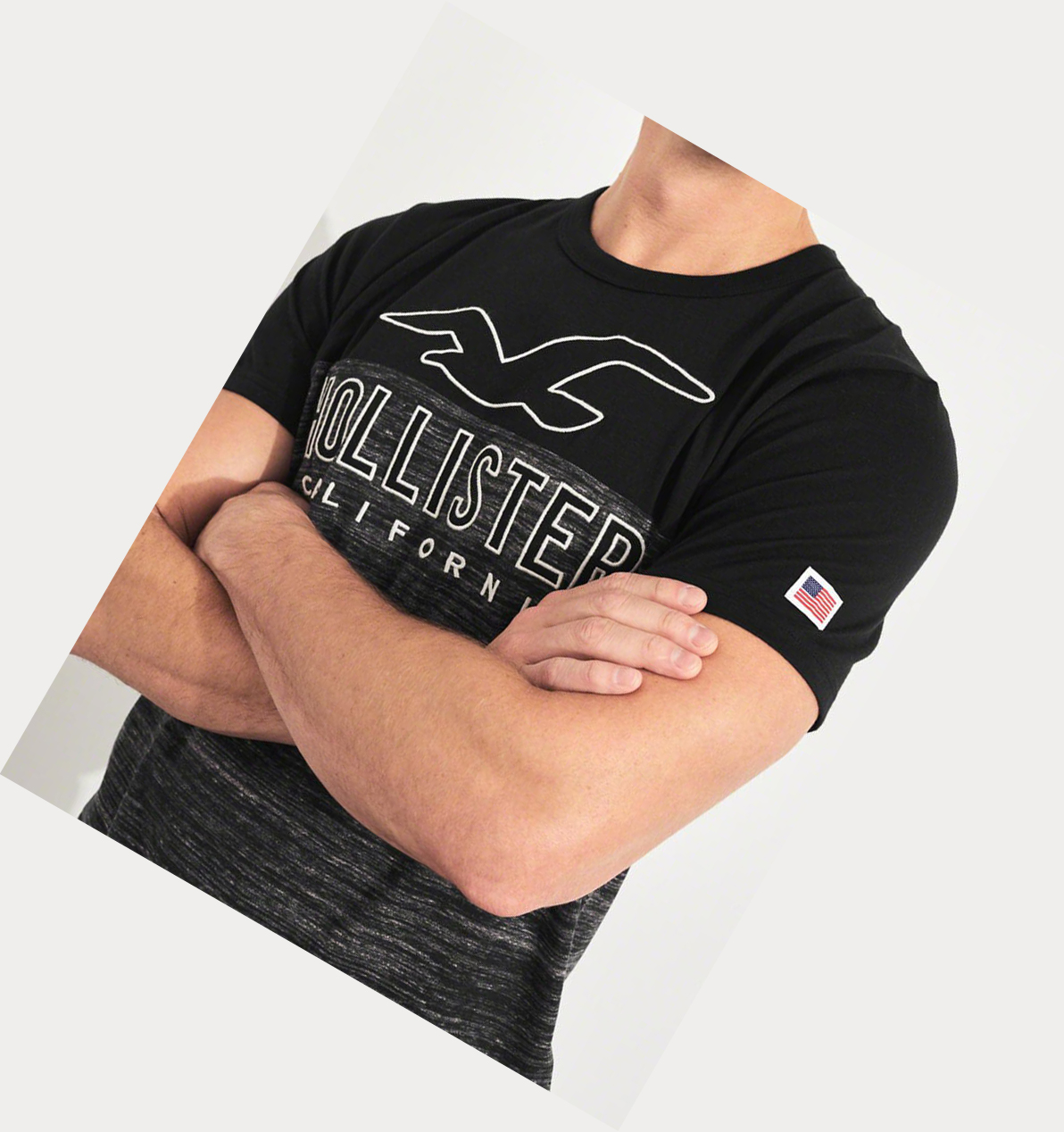 Black Men's Hollister Logo Short Sleeve | UK-346WSYU