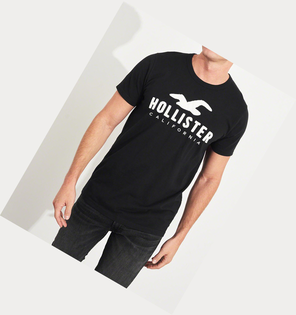 Black Men's Hollister Logo Short Sleeve | UK-534AFVE