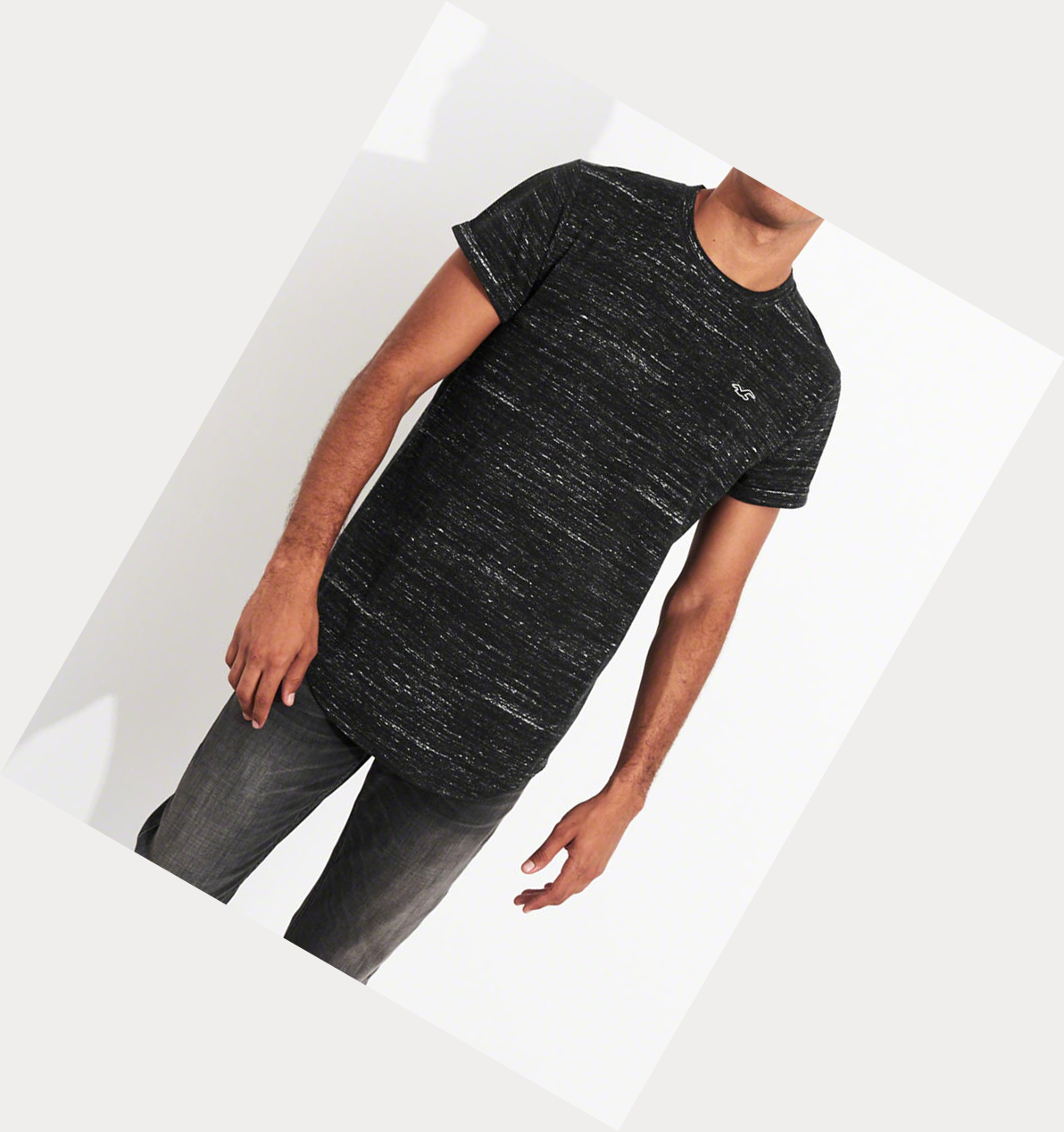 Black Men's Hollister Must-Have Curved Hem Short Sleeve | UK-701LVMZ