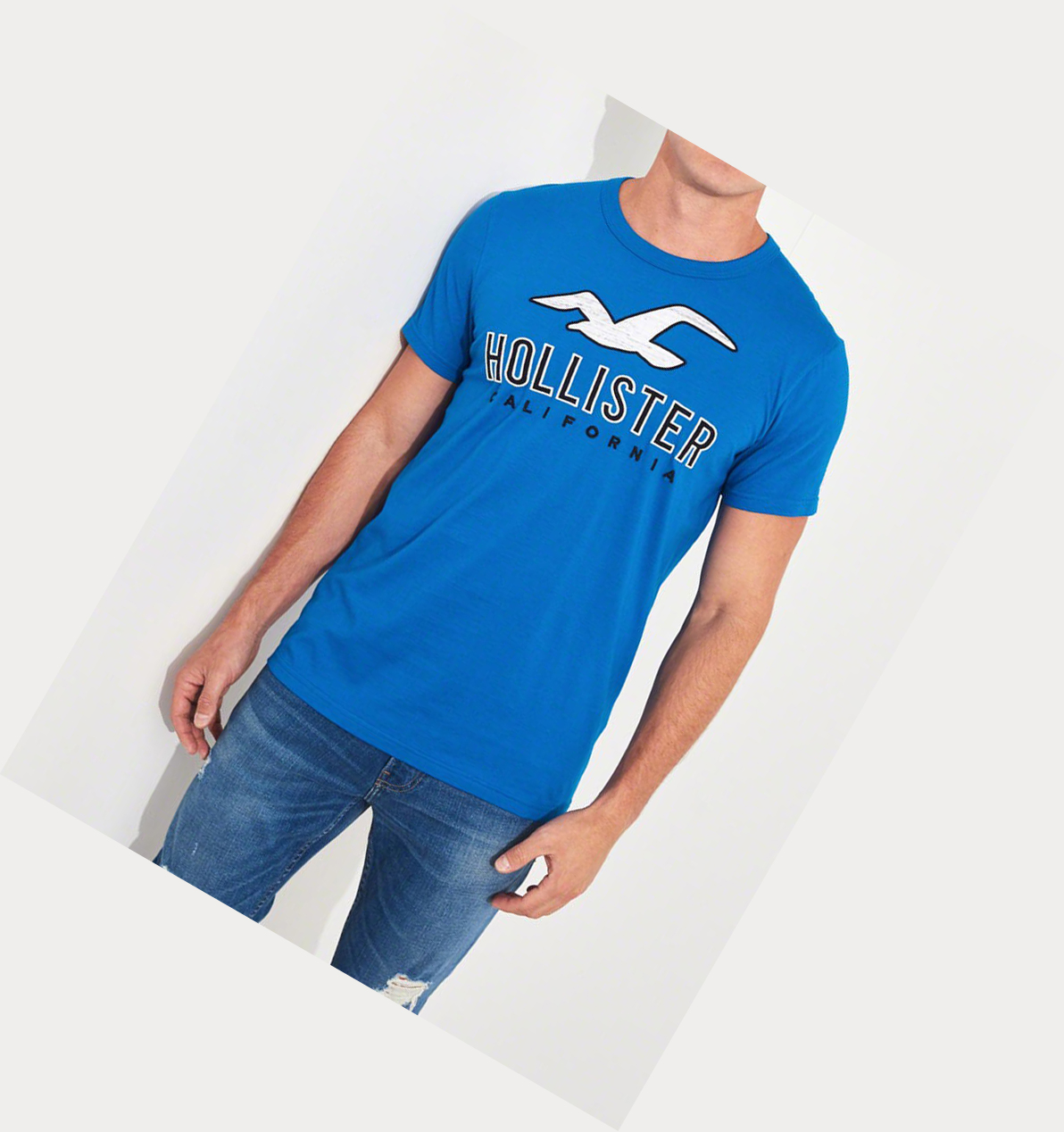 Blue Men's Hollister Logo Short Sleeve | UK-603PECU