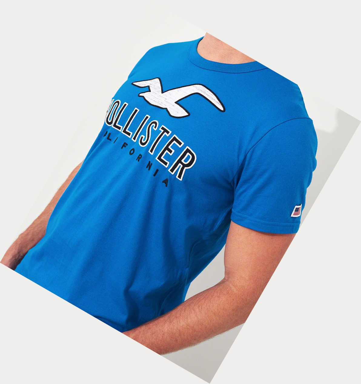 Blue Men's Hollister Logo Short Sleeve | UK-603PECU