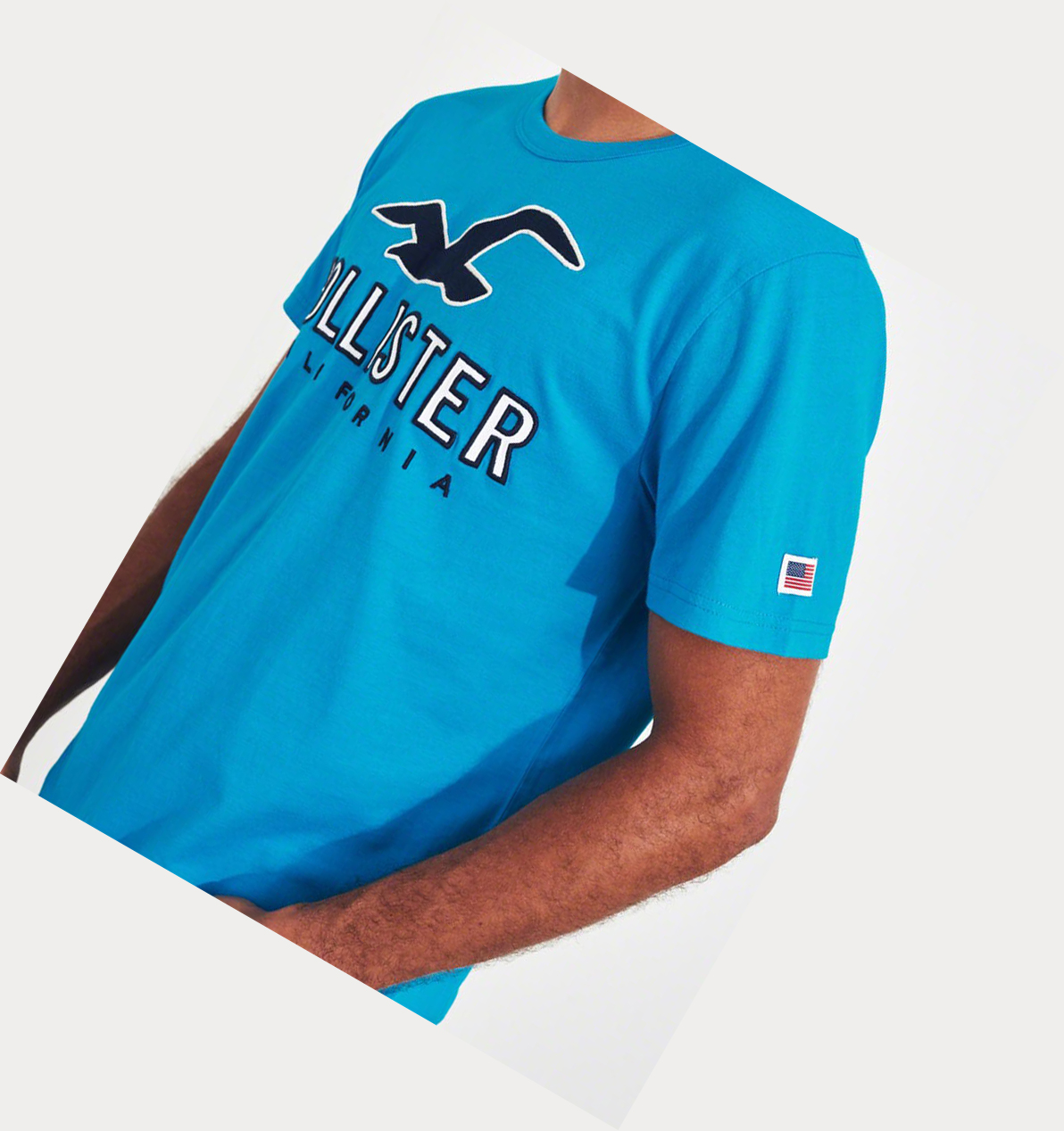 Turquoise Men's Hollister Logo Short Sleeve | UK-367OBWP